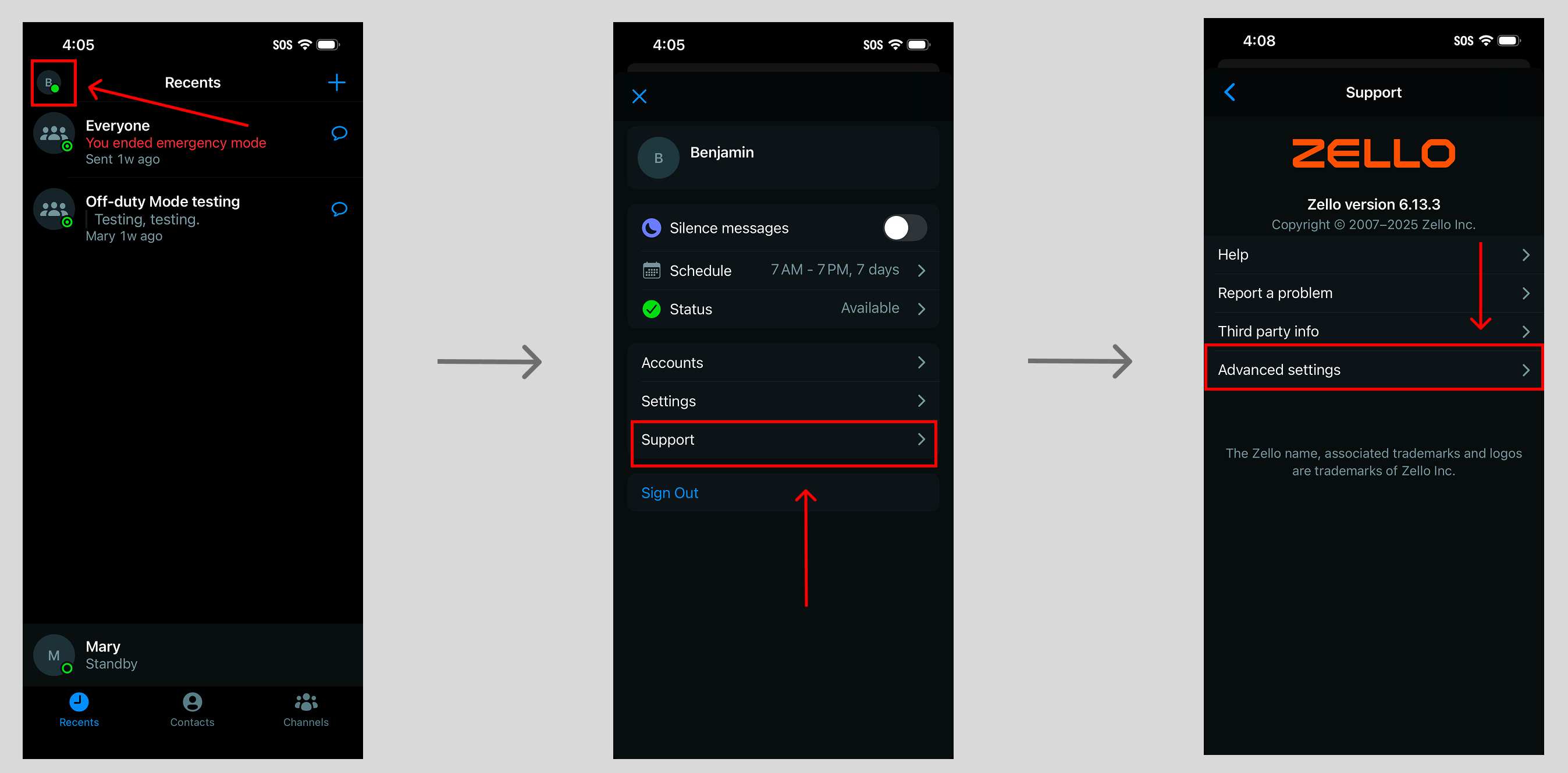 CELLMODE セルモード iOS Settings (in-app)